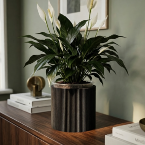 Terra Straight Planter